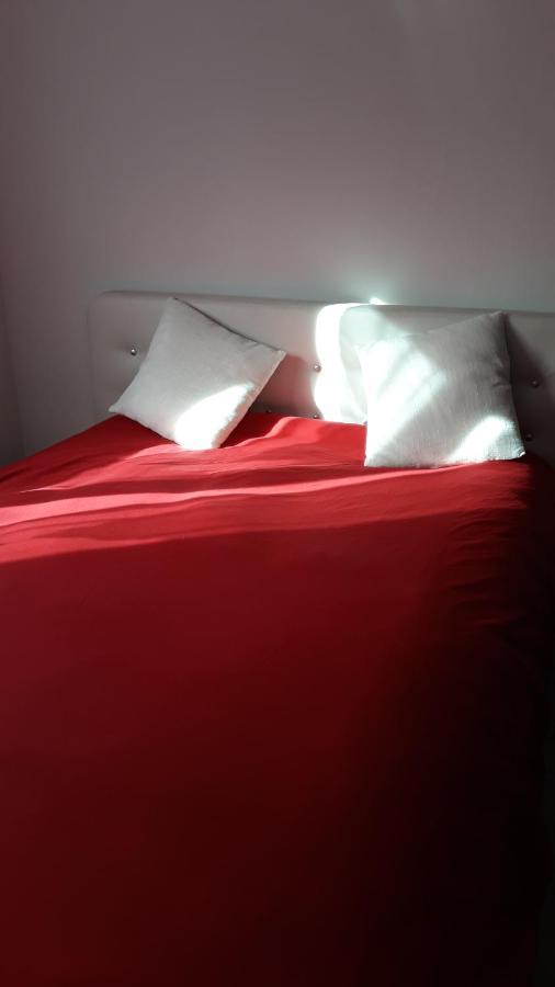 Appartement Neuf P3 50M2 Nimes Bagian luar foto